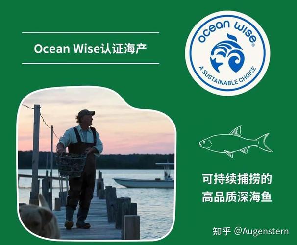 互联网+时代下的宠物食品市场open farm重新定义高质量猫粮